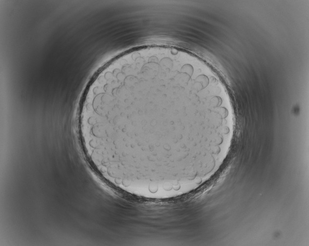 X0000116421037201001191446