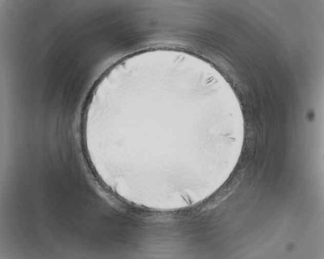 X0000116421038201001191446