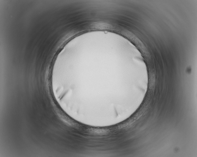 X0000116421039201001191446