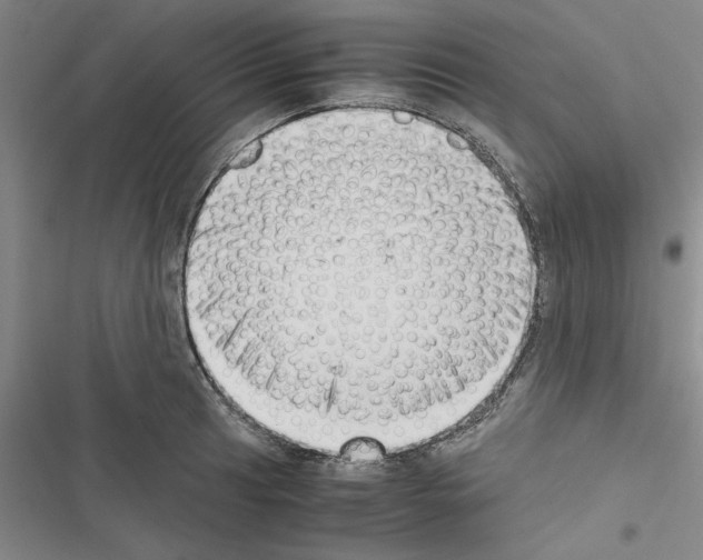 X0000116421041201001191446
