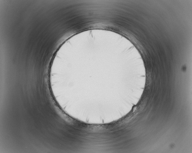 X0000116421042201001191446