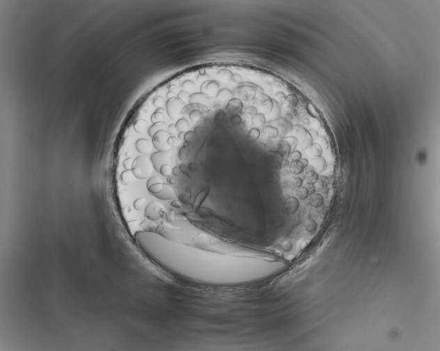 X0000116421045201001191446