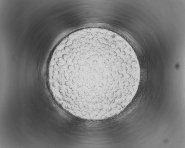 X0000116421046201001191446