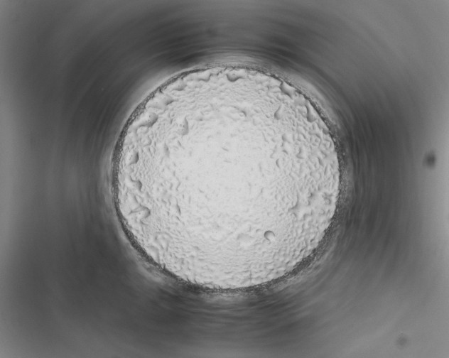 X0000116421047201001191446