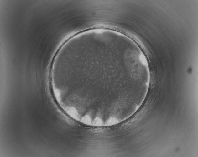 X0000116421048201001191446