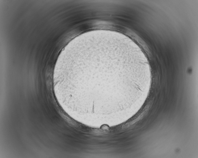 X0000116421049201001191446