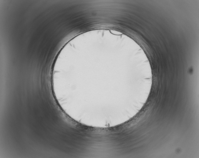 X0000116421050201001191446