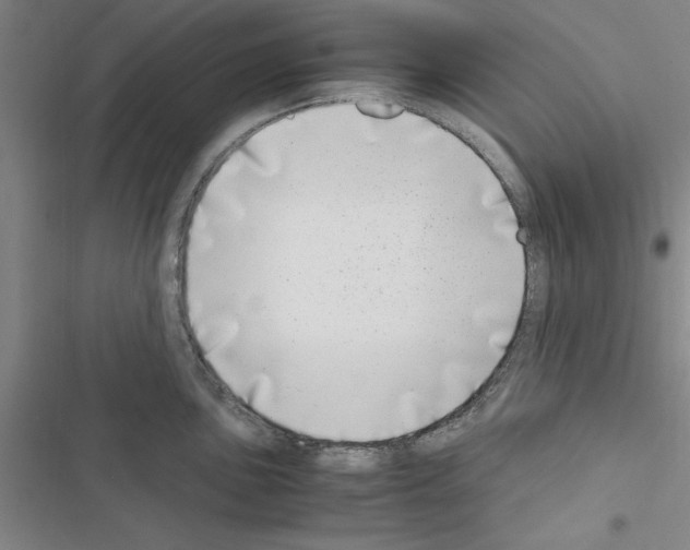 X0000116421051201001191446