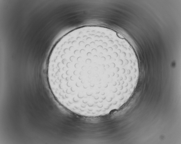 X0000116421053201001191446