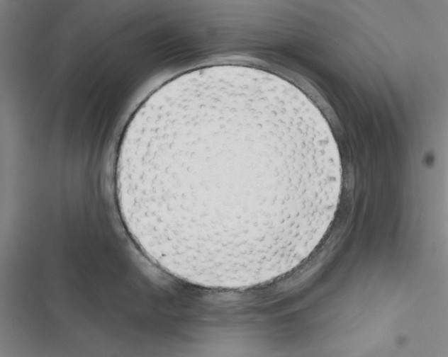 X0000116421054201001191446