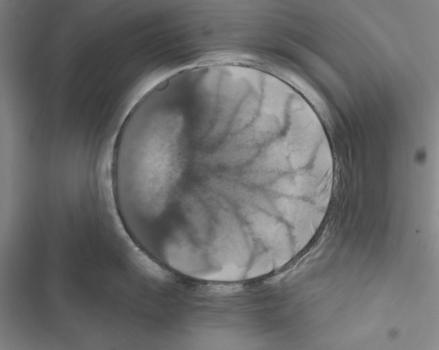 X0000116421055201001191446