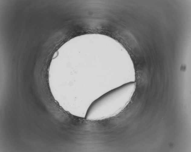X0000116421057201001191445