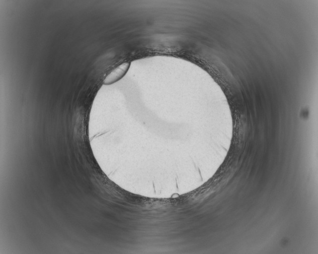 X0000116421058201001191445