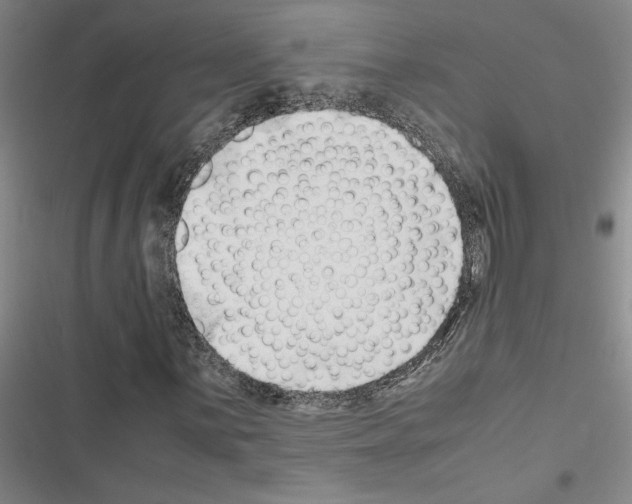 X0000116421059201001191445