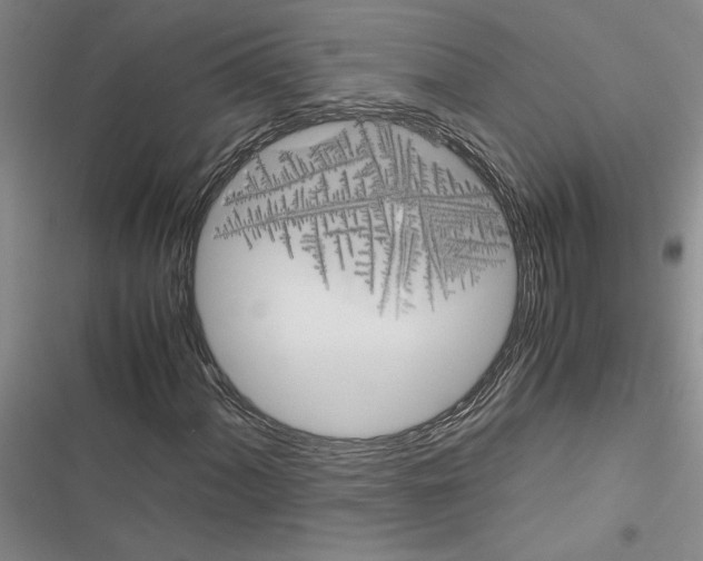 X0000116421060201001191445