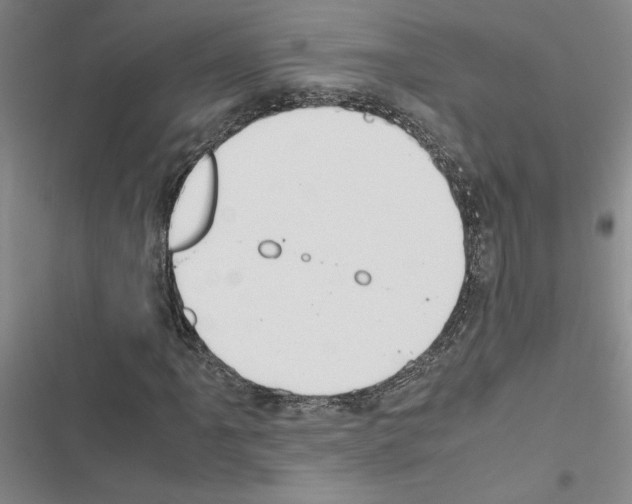 X0000116421061201001191445