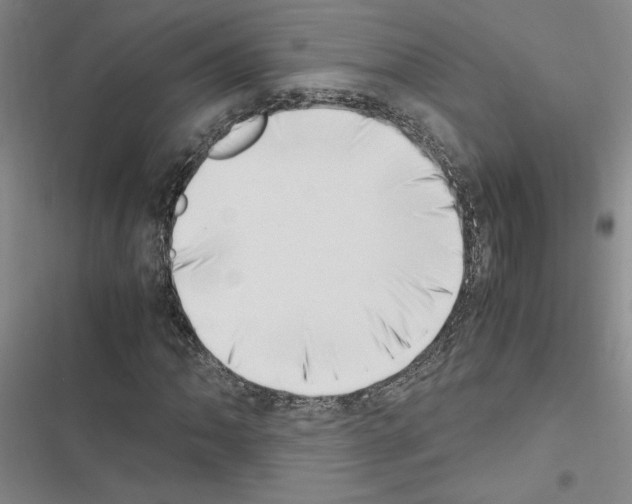 X0000116421062201001191445