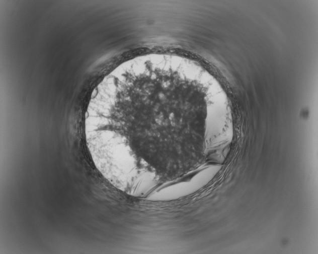 X0000116421063201001191445