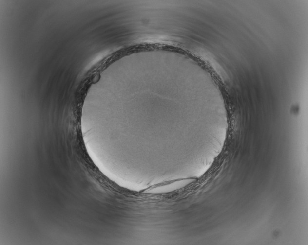 X0000116421064201001191445