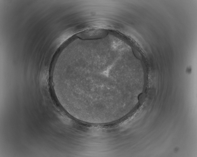 X0000116421065201001191445