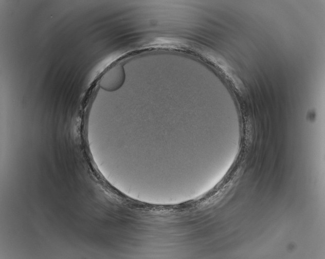 X0000116421066201001191445