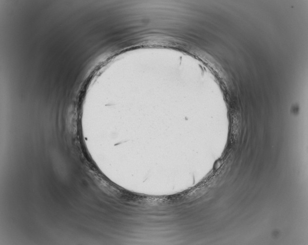 X0000116421067201001191445