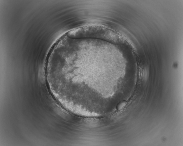 X0000116421068201001191445
