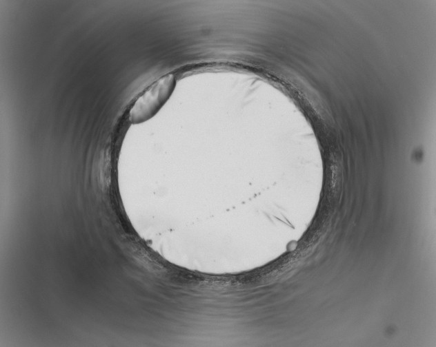 X0000116421069201001191445
