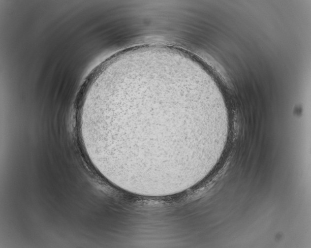 X0000116421070201001191445