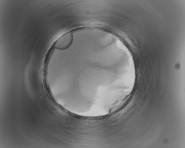 X0000116421071201001191445