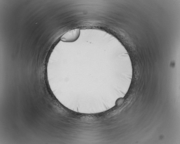 X0000116421073201001191445