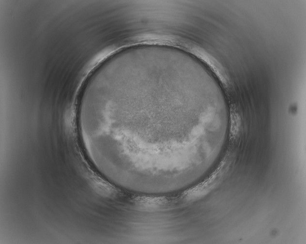 X0000116421074201001191445