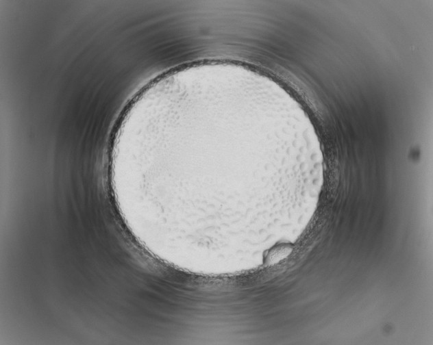 X0000116421076201001191445