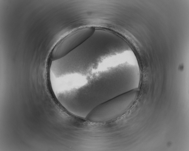 X0000116421077201001191445