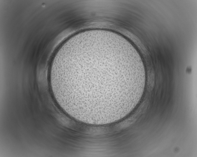 X0000116421078201001191445