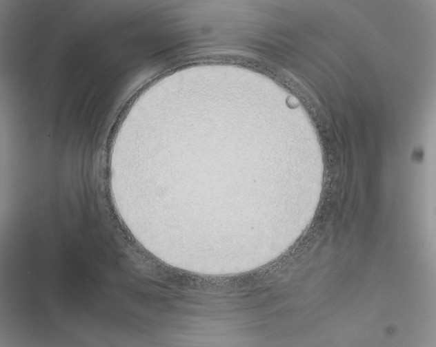 X0000116421079201001191445