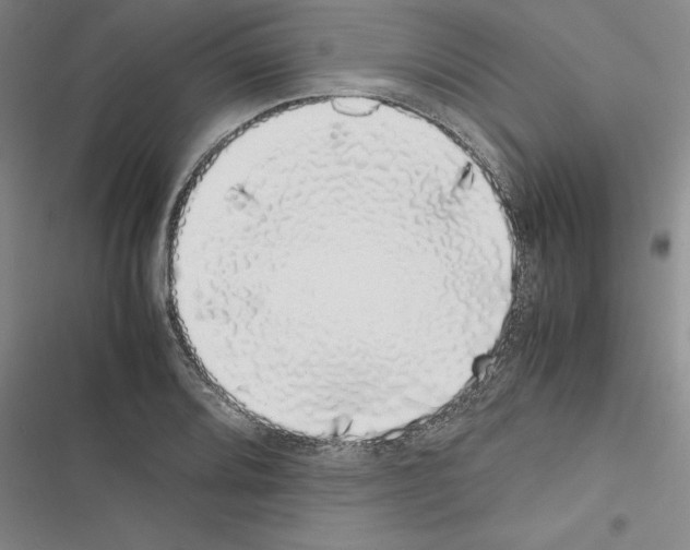 X0000116421080201001191445