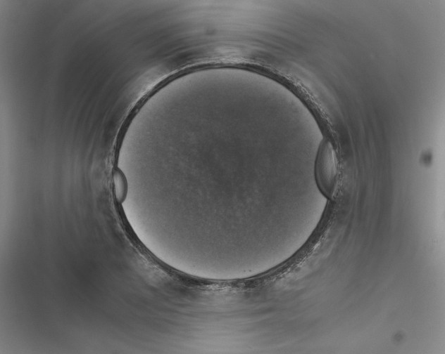 X0000116421081201001191445