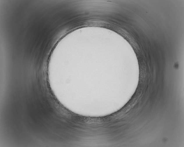 X0000116421083201001191445