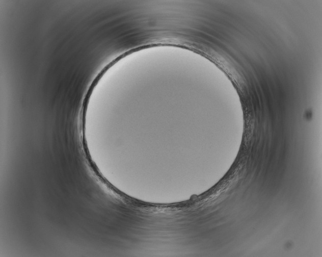 X0000116421084201001191445