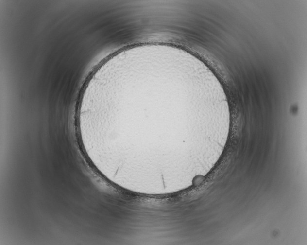 X0000116421086201001191445