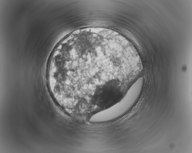 X0000116421087201001191445