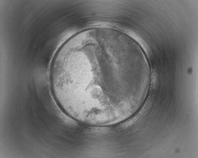 X0000116421090201001191445