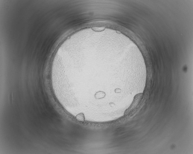 X0000116421091201001191445
