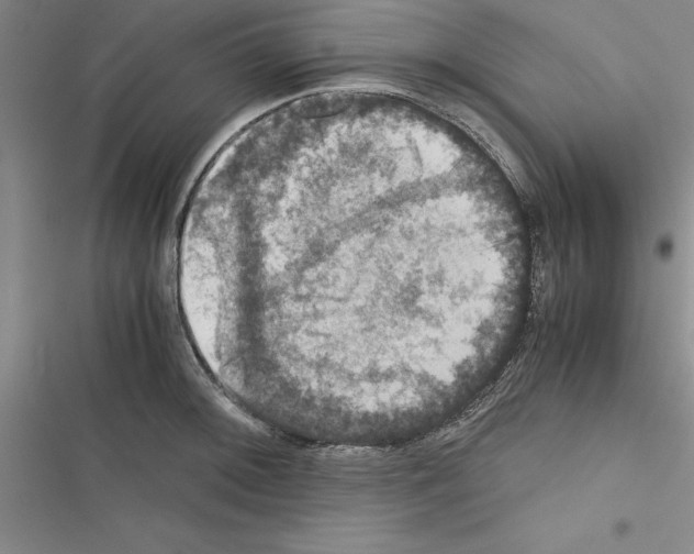 X0000116421092201001191445