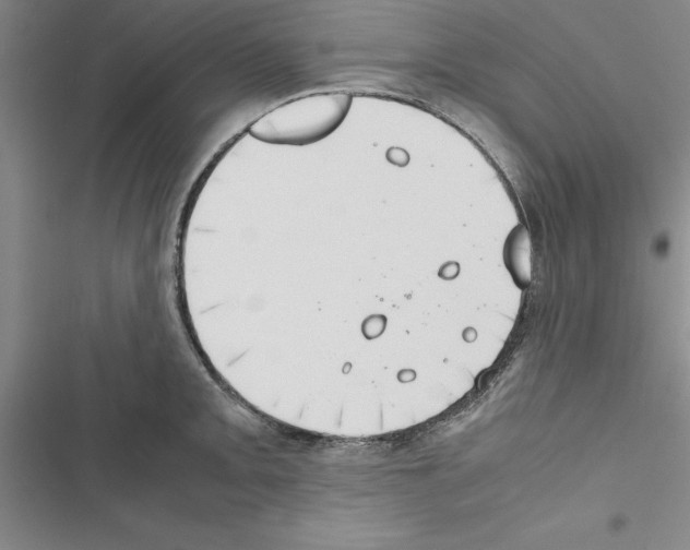 X0000116421093201001191445