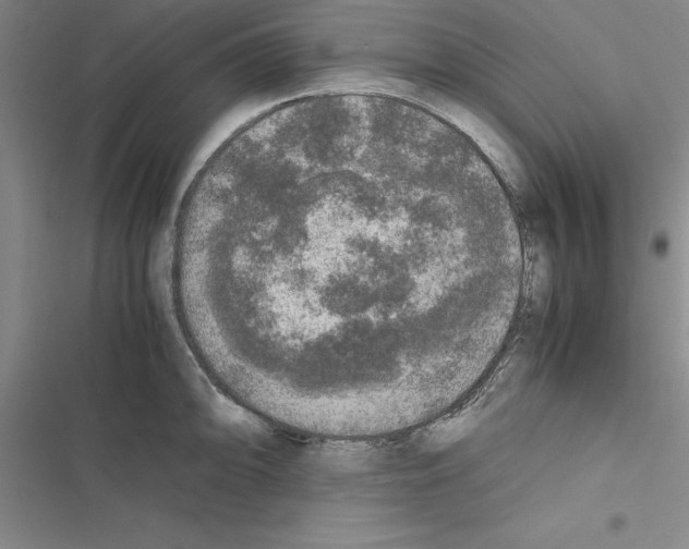X0000116421094201001191445