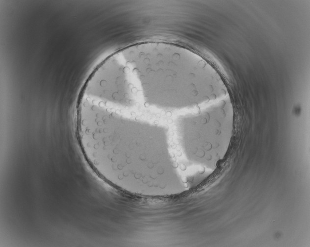 X0000116421095201001191445