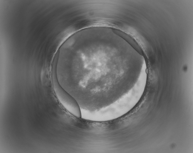 X0000116421097201001191445