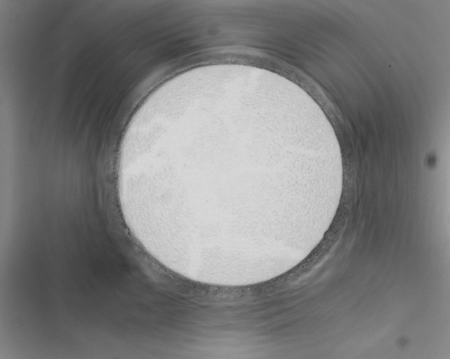 X0000116421099201001191445